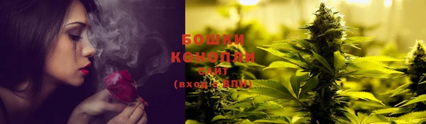 молекула духа Алексеевка