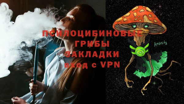 молекула духа Алексеевка