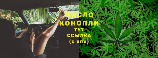 молекула духа Алексеевка